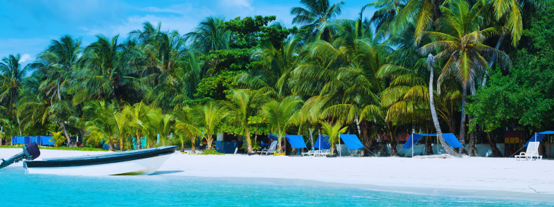 Tropical beach on San Andrés Island, showcasing Colombia's diverse places, with lush palm trees and white sands inviting those learning Spanish in Medellín to immerse in the vibrant Colombian culture.