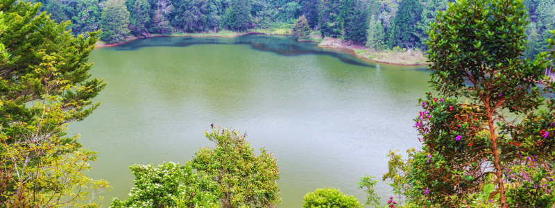 Serene lake surrounded by lush greenery at Parque Arví, an ecological treasure featured in the Medellin Travel Guide, perfect for students at Colombia Spanish to enhance their language learning while experiencing Medellín's natural beauty, Colombia.